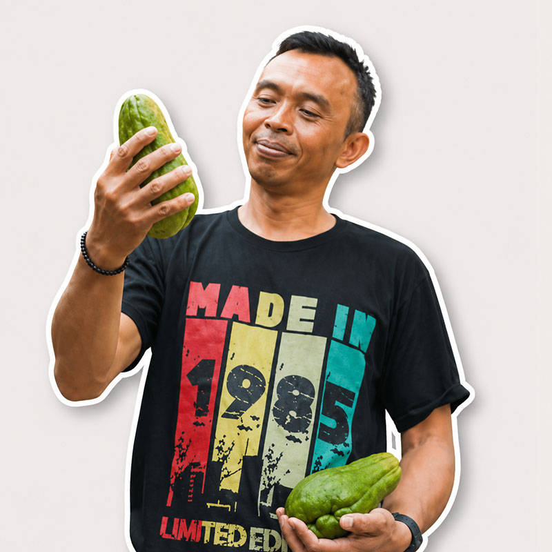 Mulyanto