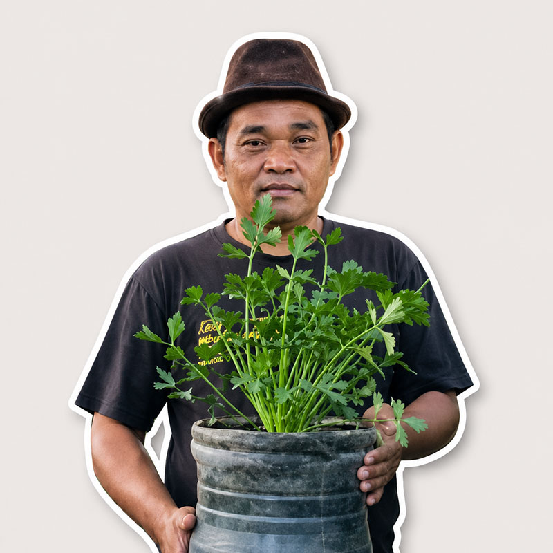 Tri Madi Wiyono